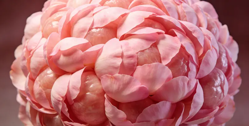 珠海遗传性乳腺癌卵巢癌全面检测检测图1